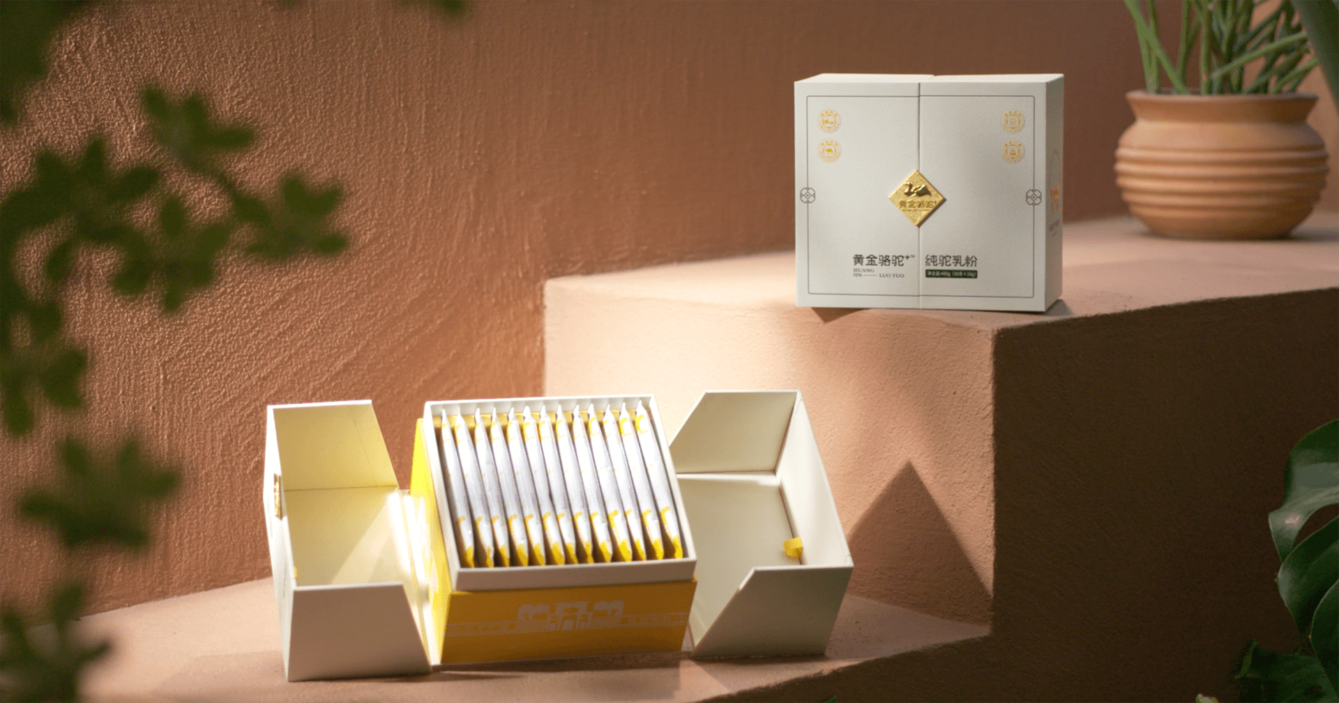 定位小众高端乳粉，尊龙凯时推出驼奶品牌“黄金骆驼+”，角逐乳品新市场！